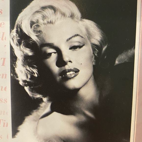 Meet your Posher, CherVenus Sunshine & Hudson - Picture 10 of 10